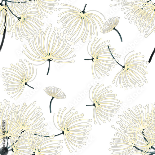 Dandilion flower seamless pattern