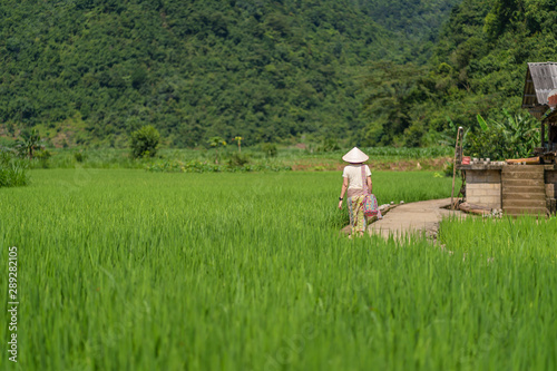 Women are walking at Phia Thap community based tourism a handicraft rural village from the Nung ethnic minority is surrounded with green rice paddy fields and karst Mountains photo