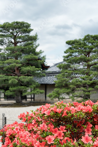 Zen garden of the Tenryu-ji temple  Kyoto  Japan