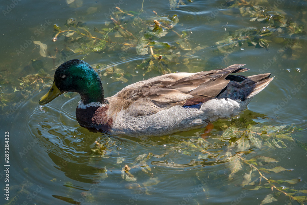 Obraz premium Удивительная природа