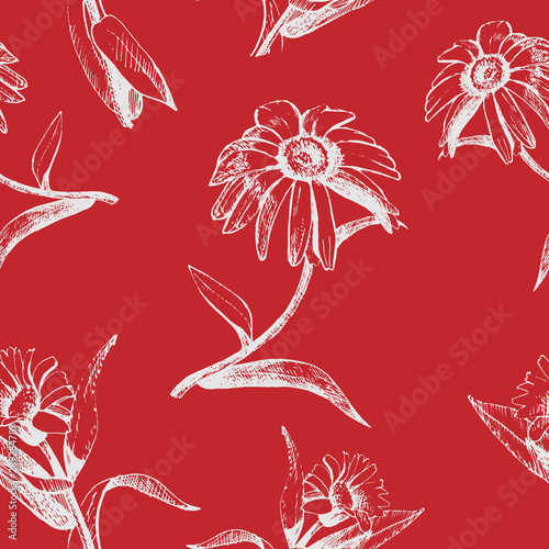 Vector seamless pattern of flowers drawn with ink and pen.