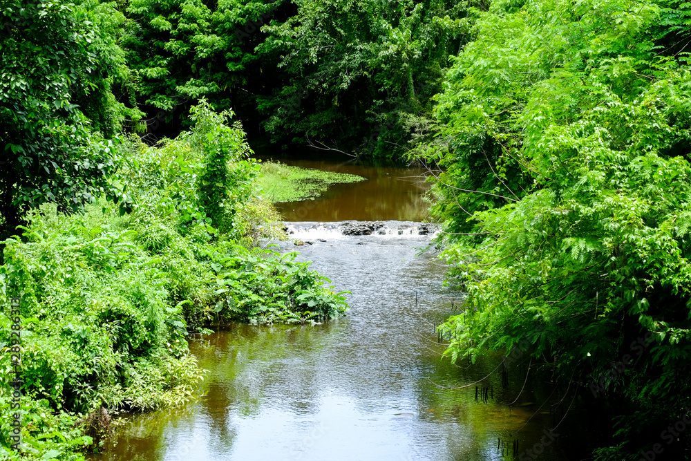 small waterfall in forest. small waterfall in forest.