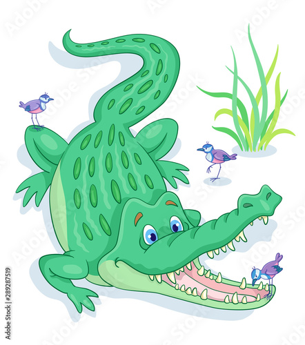 Fototapeta Naklejka Na Ścianę i Meble -  A large green crocodile and three small birds. One of the birds is brushing a crocodile’s teeth. In cartoon style. Isolated on white background.