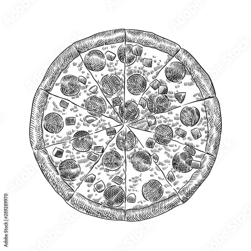 Italian pizza pepperoni sausages circle pieces hand drawn scetch vector