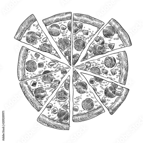 Italian pizza pepperoni cut into pieces hand drawn scetch vector
