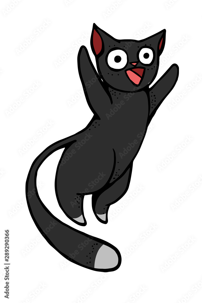 Black Cat Pouncing