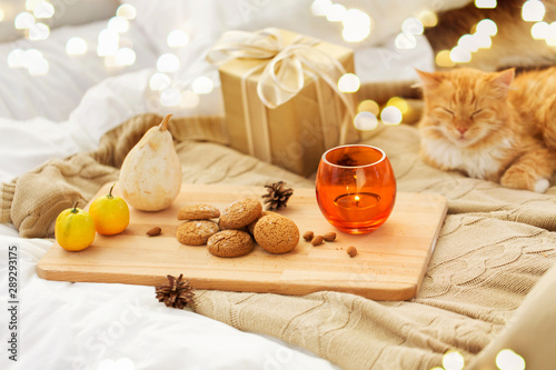 hygge and christmas concept - oatmeal cookies, candle, gift and red tabby cat lying in bed