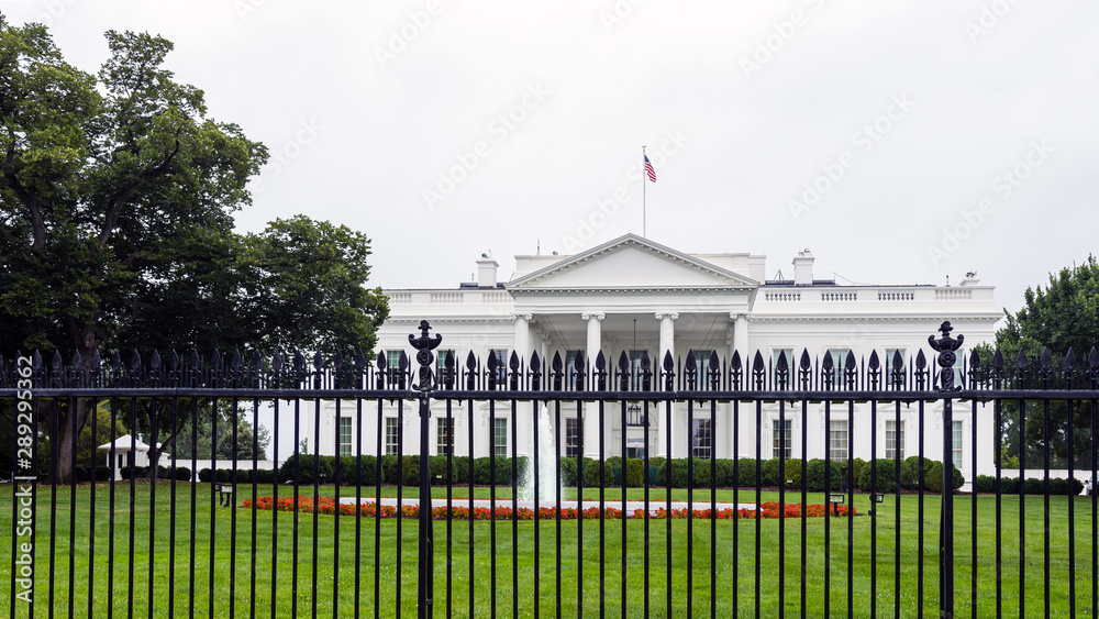 The east side of the White House with fountain, iron fence and red flowers in the foreground. - image