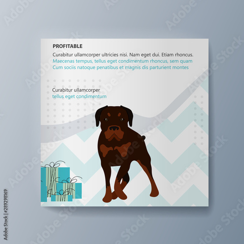 Presentation of the pet classification brochure