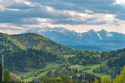 Fototapeta Naklejka Na Ścianę i Meble -  Szczawnica palenica