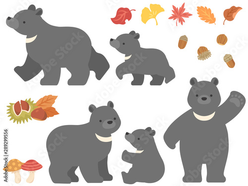 クマの親子と秋のイラストセット