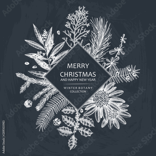 Christmas greeting card or invitation design. Vector frame with hand drawn evergreen and conifers plants. Vintage background with botanical elements. Engraved style. On chalkboard