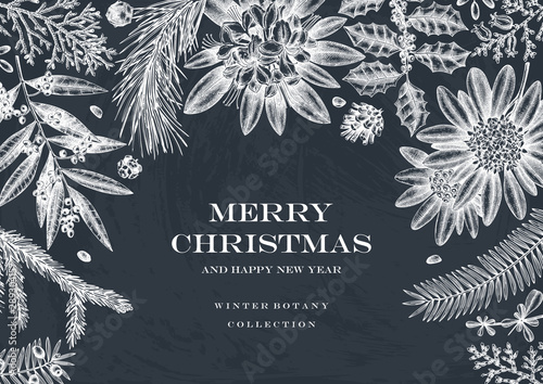 Christmas greeting card or invitation design. Vector frame with hand drawn evergreen and conifers plants. Vintage background with botanical elements. Engraved style. On chalkboard