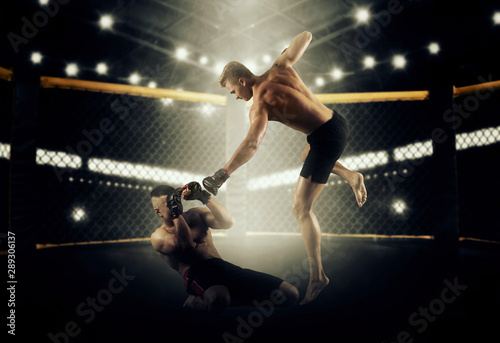 MMA boxers fighters fight in fights without rules