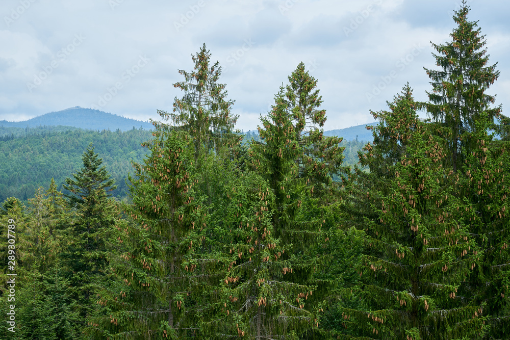 Nationalpark Bayrische Wald von Waldhäuser bis Neuschönau und rund um den Berg Lusen 1373m Nationalpark Bayrische Wald von Waldhäuser bis Neuschönau und rund um den Berg Lusen 1373m
