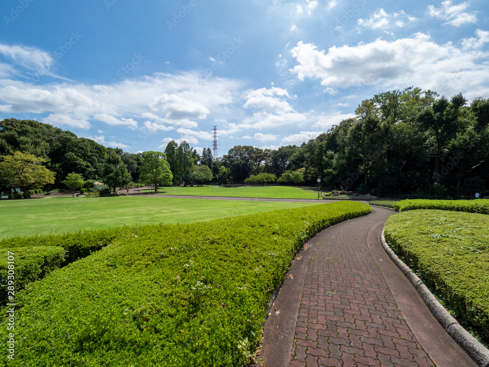Obraz premium 埼玉県 川口市立グリーンセンターの風景