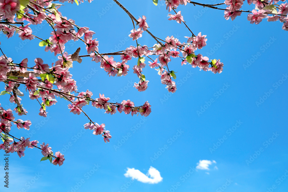 Artificial Sakura flowers, is on blue sky background Artificial Sakura flowers, is on blue sky background