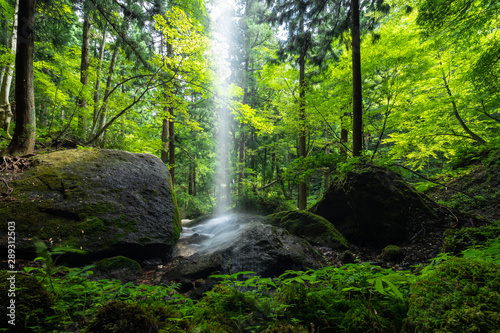 兵庫県　吉滝の自然と風景