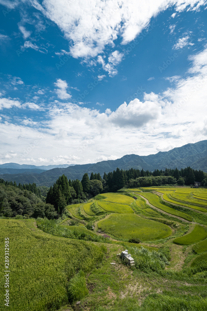 兵庫県 うへ山の棚田と原風景 兵庫県 うへ山の棚田と原風景