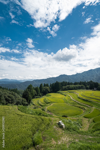 兵庫県 うへ山の棚田と原風景