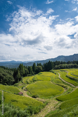 兵庫県 うへ山の棚田と原風景