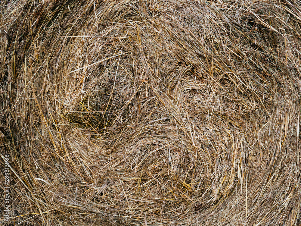 A twisted pile of hay or straw. Tightly Packed for outdoor storage A twisted pile of hay or straw. Tightly Packed for outdoor storage