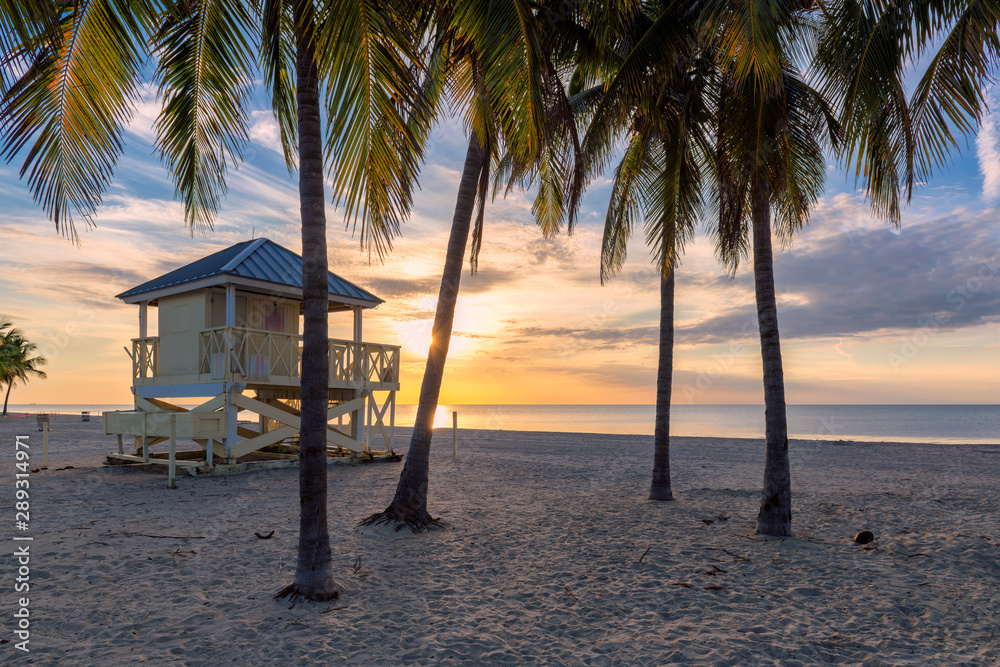 Palm trees at sunrise and life guard tower on Miami Beach, Florida. Palm trees at sunrise and life guard tower on Miami Beach, Florida.