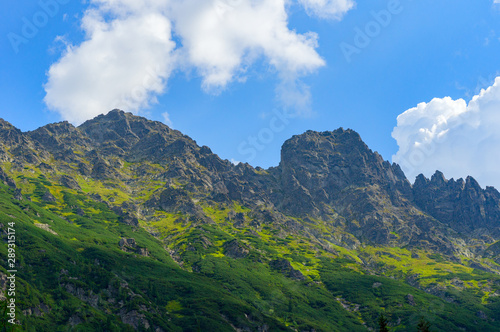 View of the alpine mountains on a sunny summer day. A beautiful picture of the sky, mountains and forest. © Oleg1824f