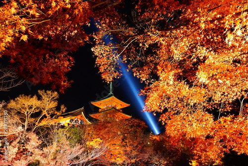 京都清水寺の紅葉ライトアップ photo