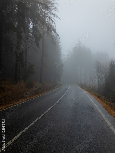 Asphalt road in the forest in fog, autumn landscape