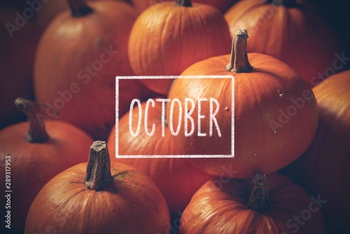 pumpkins with hand drawn chalk text October