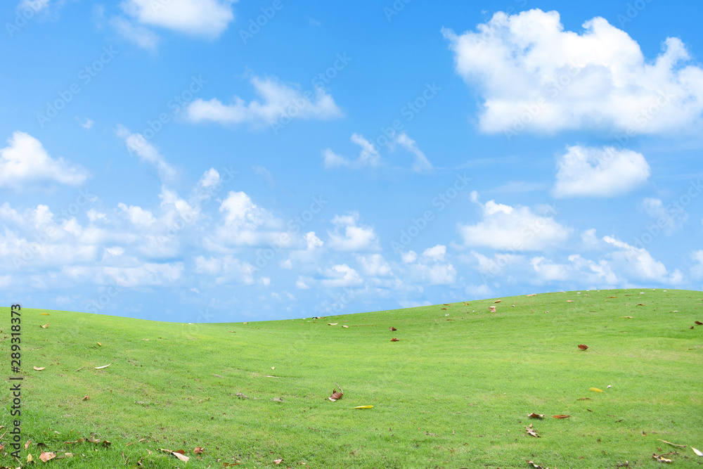 Green grass field with blue sky and clouds. Green grass field with blue sky and clouds.