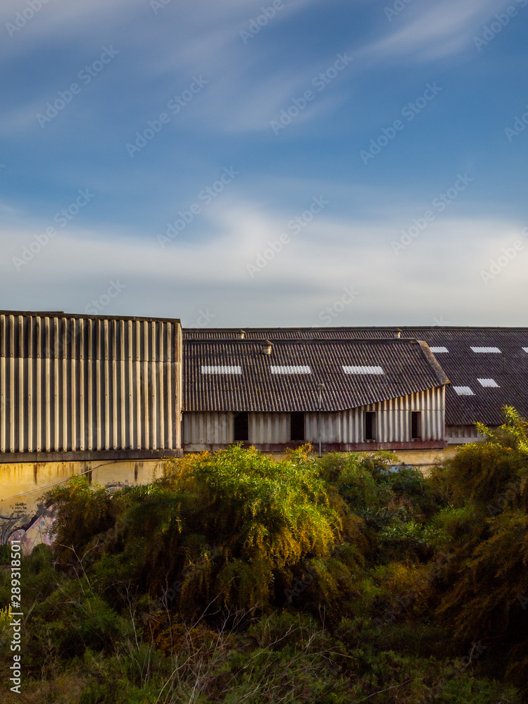 Asbestos roofs in abandoned industrial facilities. Asbestos roofs in abandoned industrial facilities.