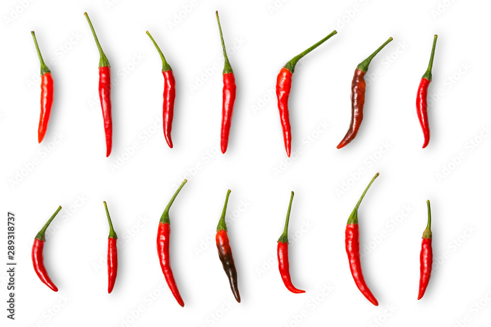 Red chili pepper isolated on white background with clipping path. Collection of red chilli. Red chili pepper isolated on white background with clipping path. Collection of red chilli.