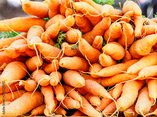 Organic farm fresh carrots at the farmer's market