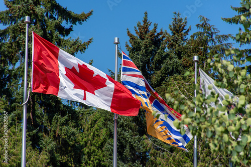 Canada and British Columbia (BC) flag blowing in the wind and trees on a bright sunny day.