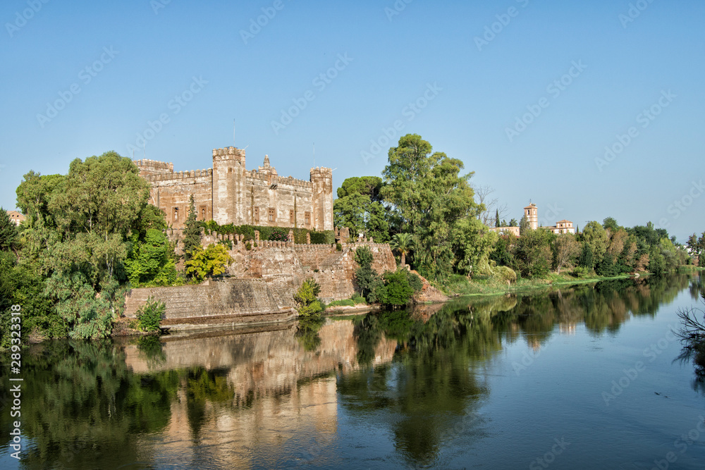 Malpica Castle next to the Tagus river in Malpica de Tajo, province of Toledo. Spain