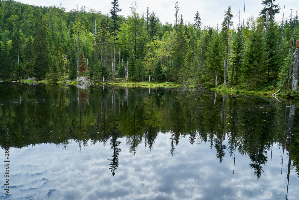 Nationalpark Bayrische Wald von Waldhäuser bis Neuschönau und rund um den Berg Lusen 1373m