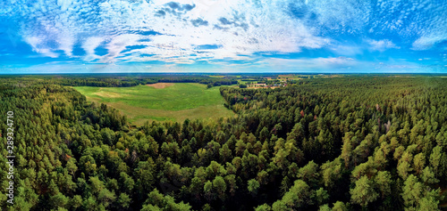 Фотография Beautiful panoramic aerial drone view to Bialowieza Forest - one of the last and