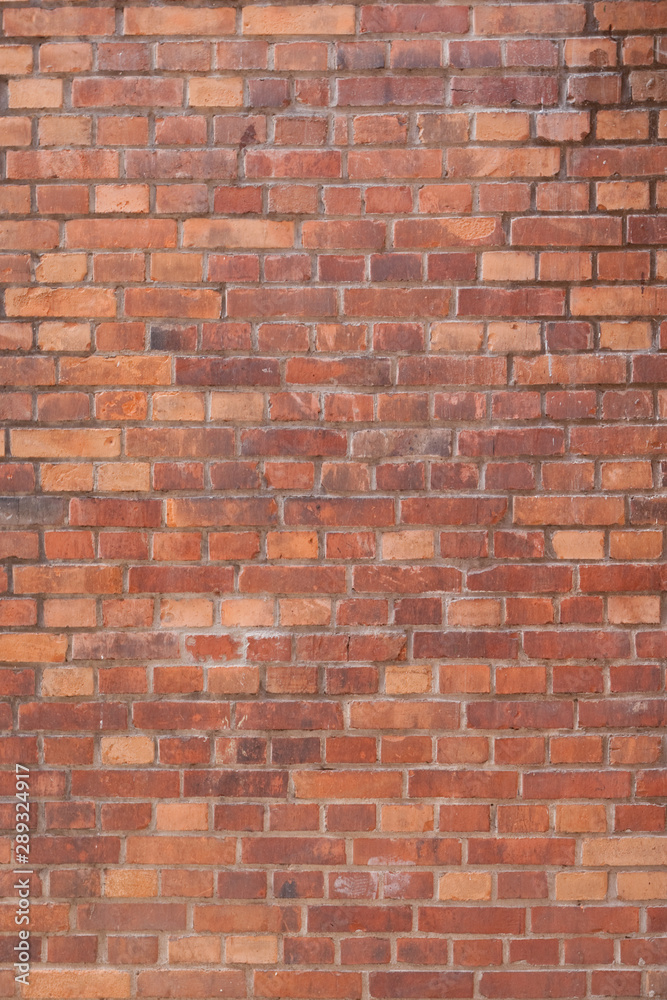 Naklejka premium Tekstura gleby