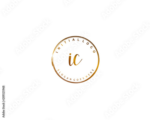  IC Initial letter logo template vector