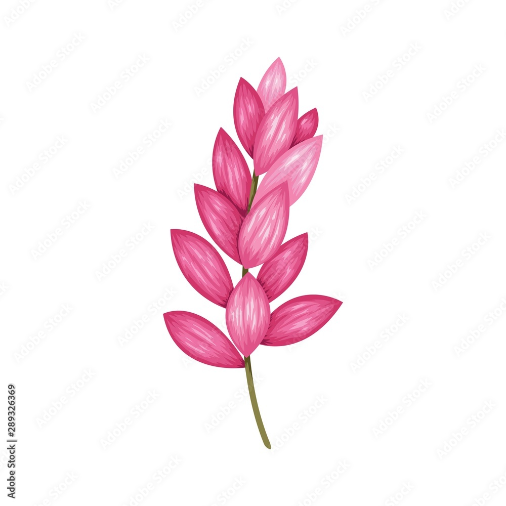 Obraz premium Beautiful vintage hand drawn floral vector