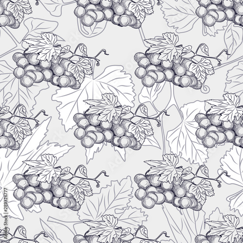 Fototapeta Naklejka Na Ścianę i Meble -  Hand drawn grape bunches and leaves seamless pattern. Design for fabric, vintage packaging, wrapping paper. Engraving style.Vector illustration
