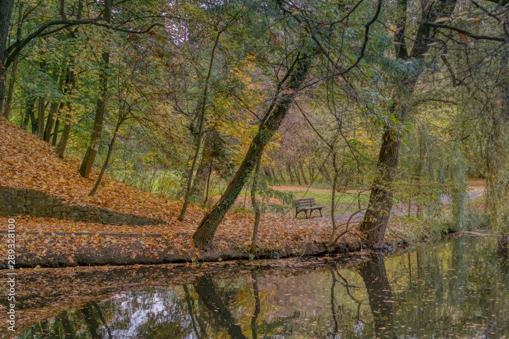 jesienny widok na staw w parku, pusta ławka, kolorowe liście na drzewach i ścieżce
