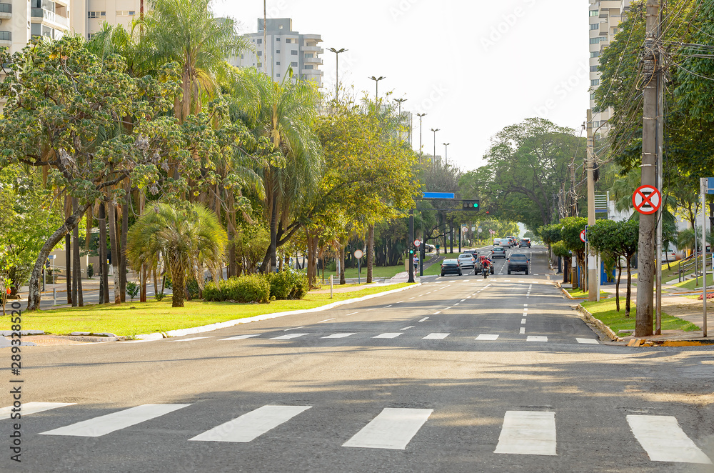 Lined-tree avenue with few cars on the street. Large avenue of a green city. Afonso Pena avenue at Campo Grande - MS, Brazil. Lined-tree avenue with few cars on the street. Large avenue of a green city. Afonso Pena avenue at Campo Grande - MS, Brazil.