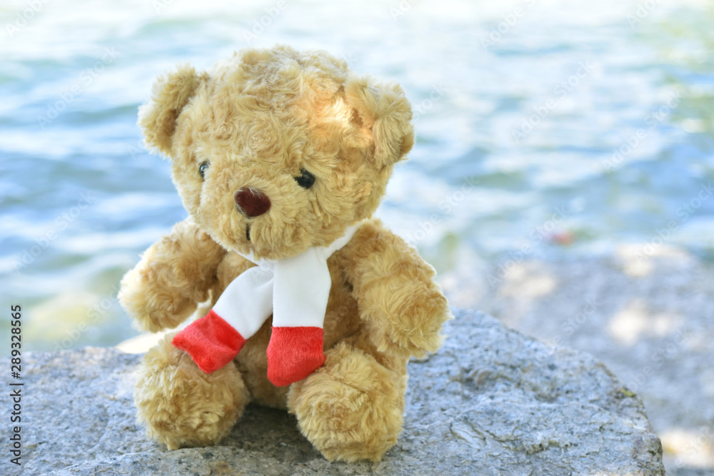 Cute Teddy bear on stone and sea background.
