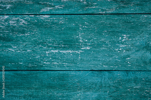 Bright green wood photo background. Boards painted green. Green wooden wall close-up.
