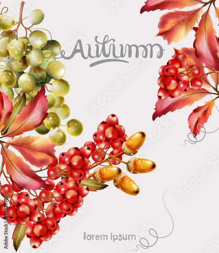 Wild forest flowers and fruits bouquet card vector watercolor. Isolated backg...