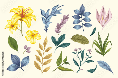 Beautiful vintage hand drawn floral vector