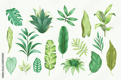 Beautiful vintage hand drawn floral vector